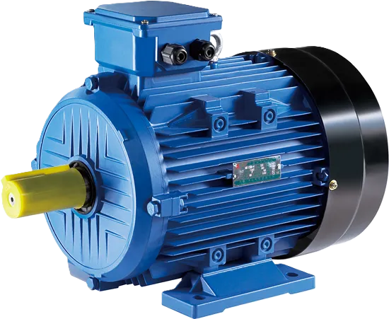 Electric Induction Motor